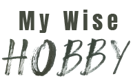 IMG-LOGO
